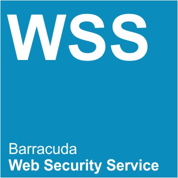 Web-Security-Service.jpg