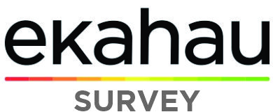 Botao Survey